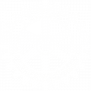 Rotary Gear White